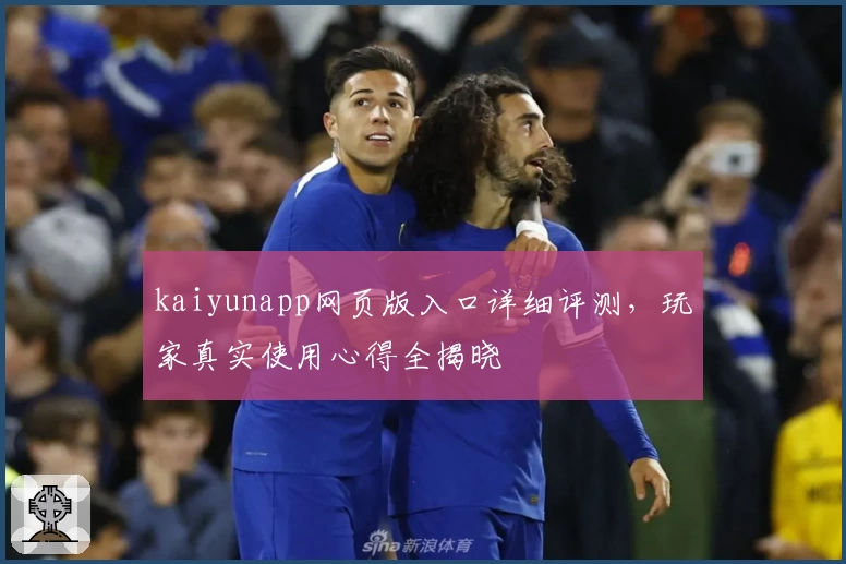 kaiyunapp网页版入口详细评测，玩家真实使用心得全揭晓
