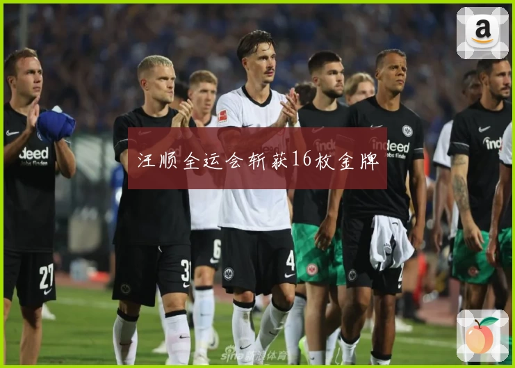 汪顺全运会斩获16枚金牌