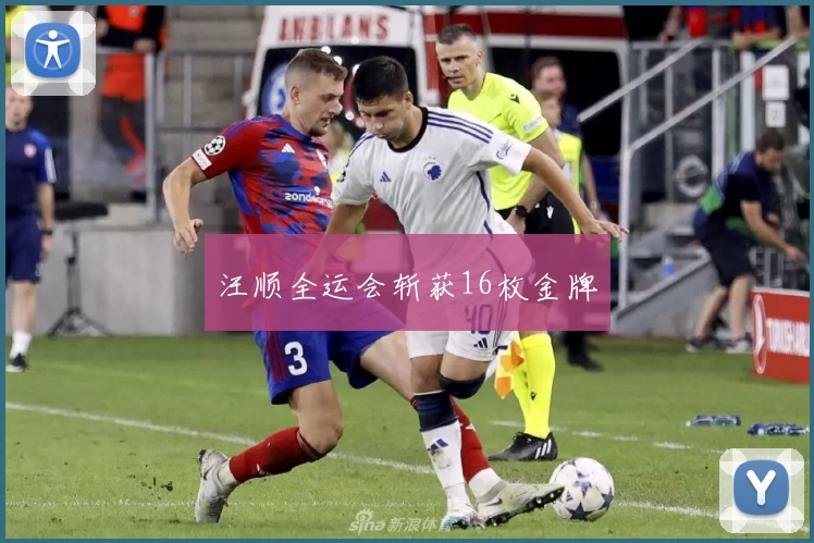 汪顺全运会斩获16枚金牌