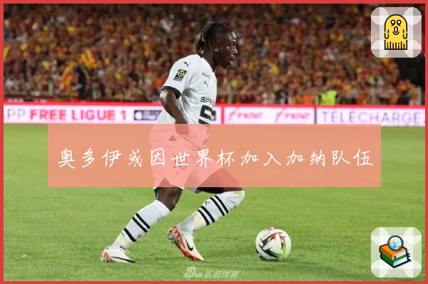 奥多伊或因世界杯加入加纳队伍