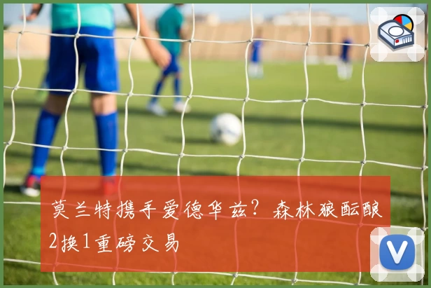 莫兰特携手爱德华兹？森林狼酝酿2换1重磅交易