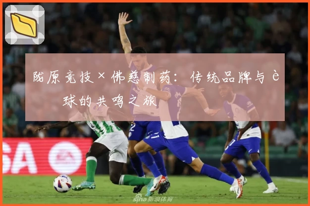 陇原竞技×佛慈制药：传统品牌与足球的共鸣之旅